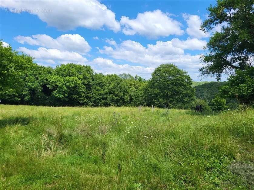 Maison à BUSSIERE-POITEVINE