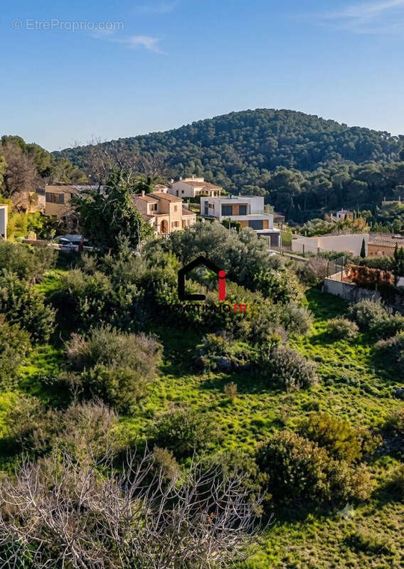 Terrain à Vallauris  - photo 3