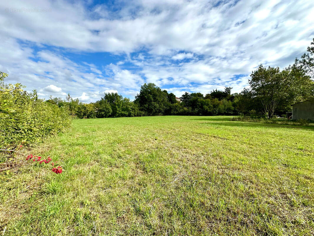 Terrain à CADOURS