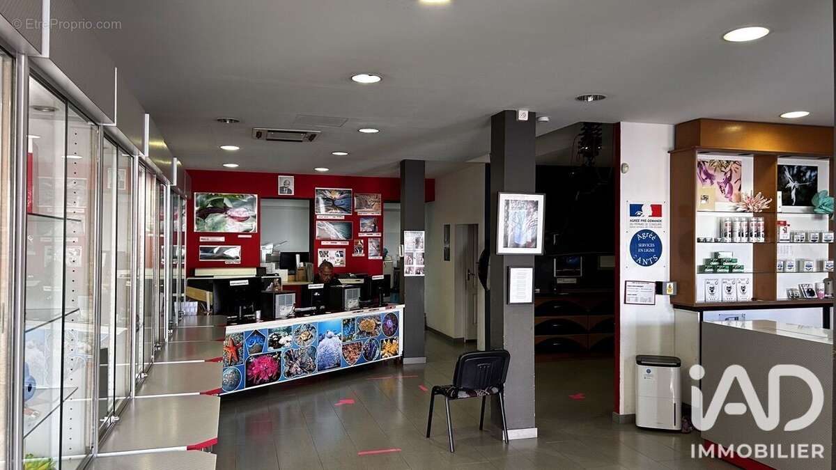 Photo 4 - Appartement à LE TAMPON