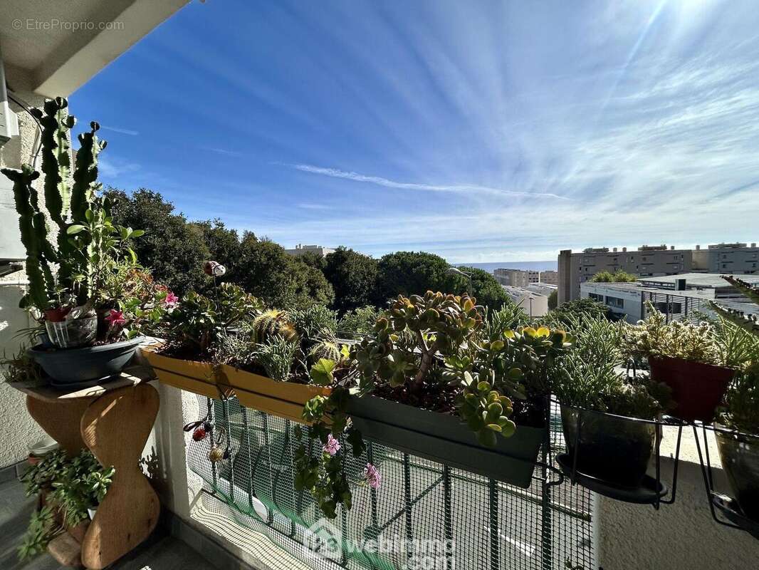 Terrasse couverte orienté Est - Appartement à BASTIA