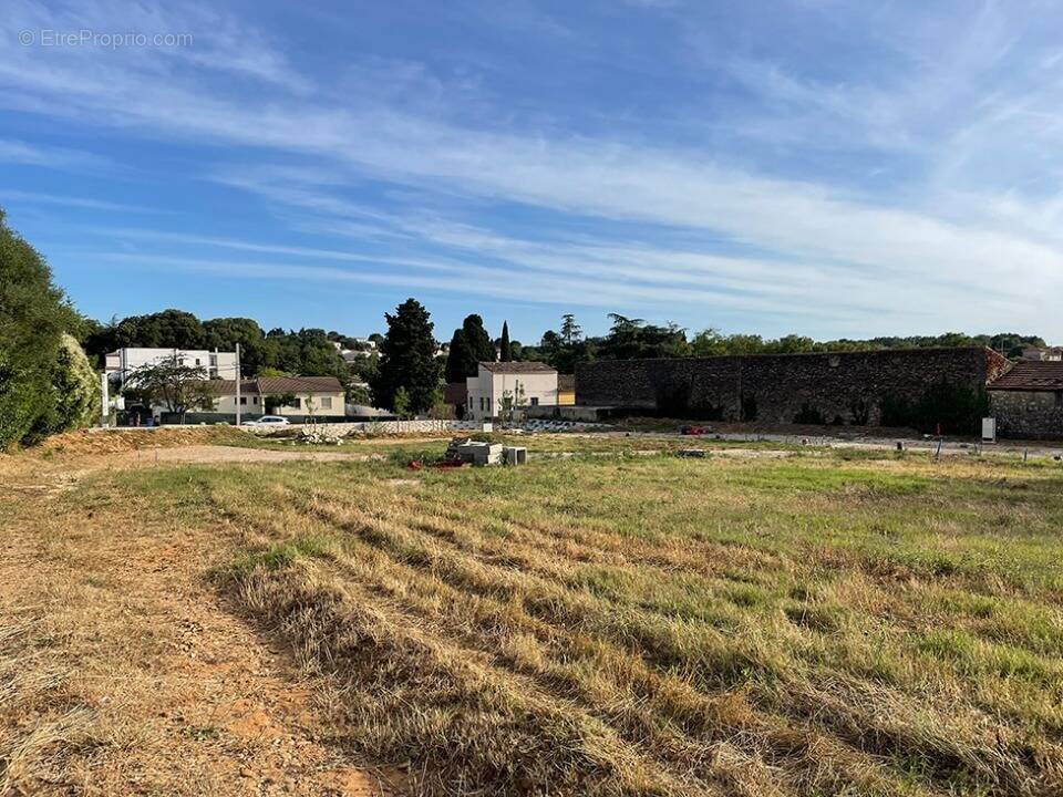 Terrain à BEAUVOISIN