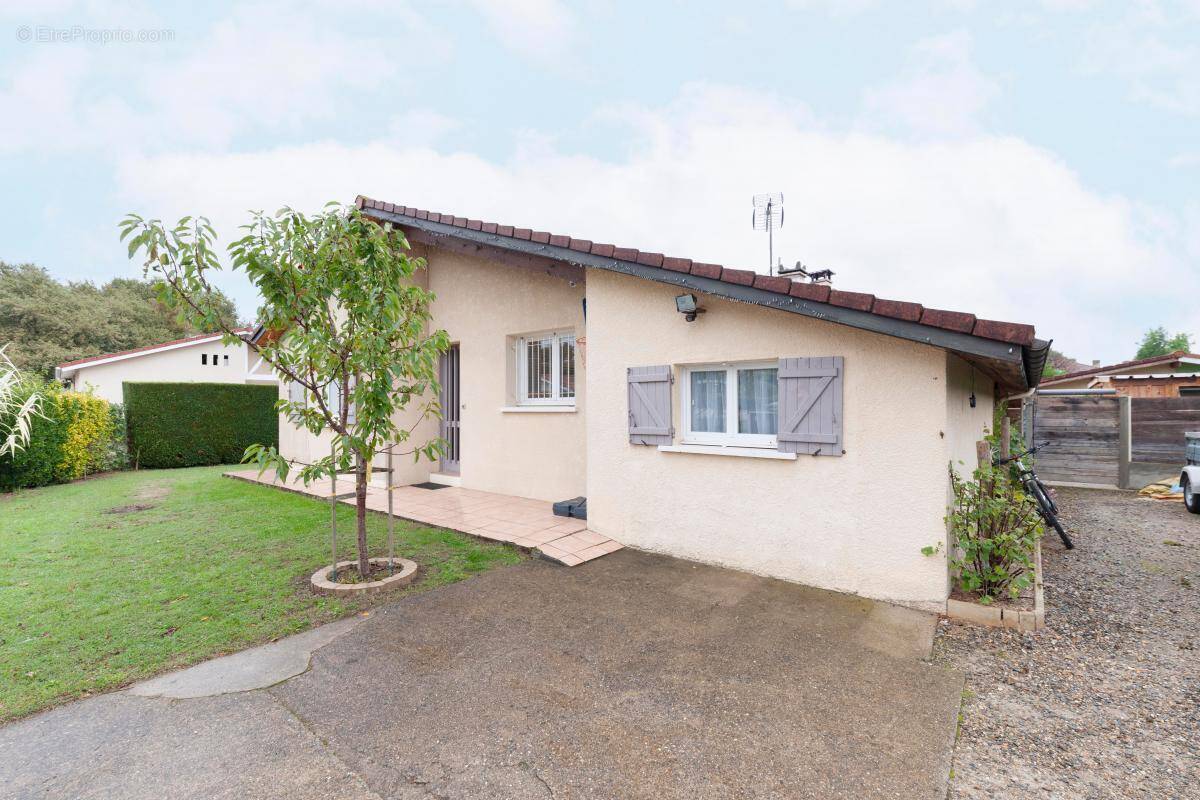 Maison à SAINT-PERDON