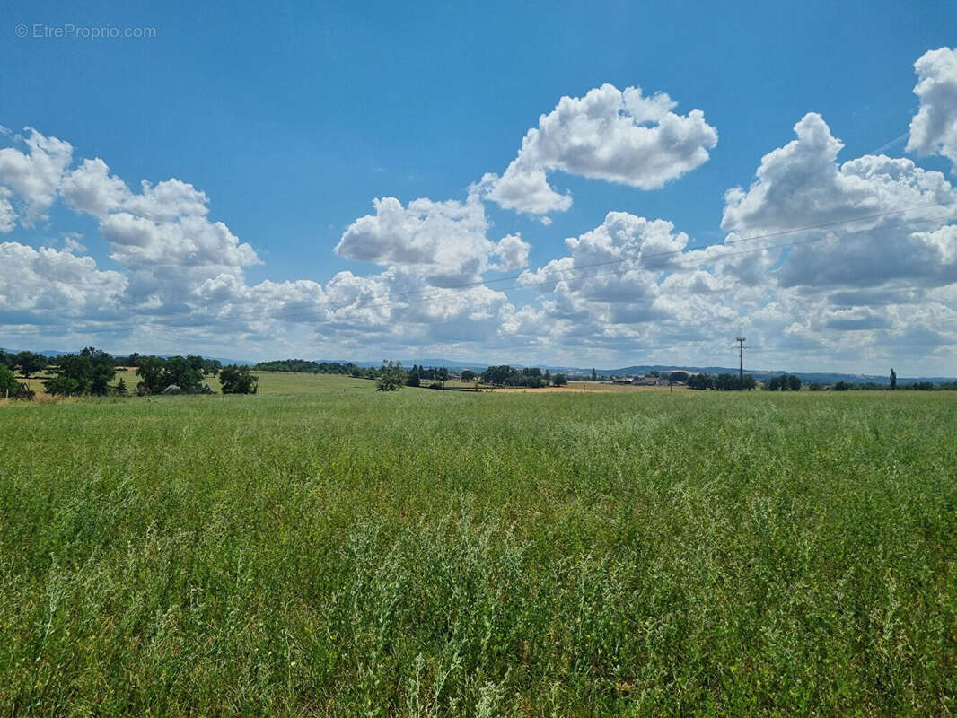 Terrain à SAINT-GERAND-LE-PUY