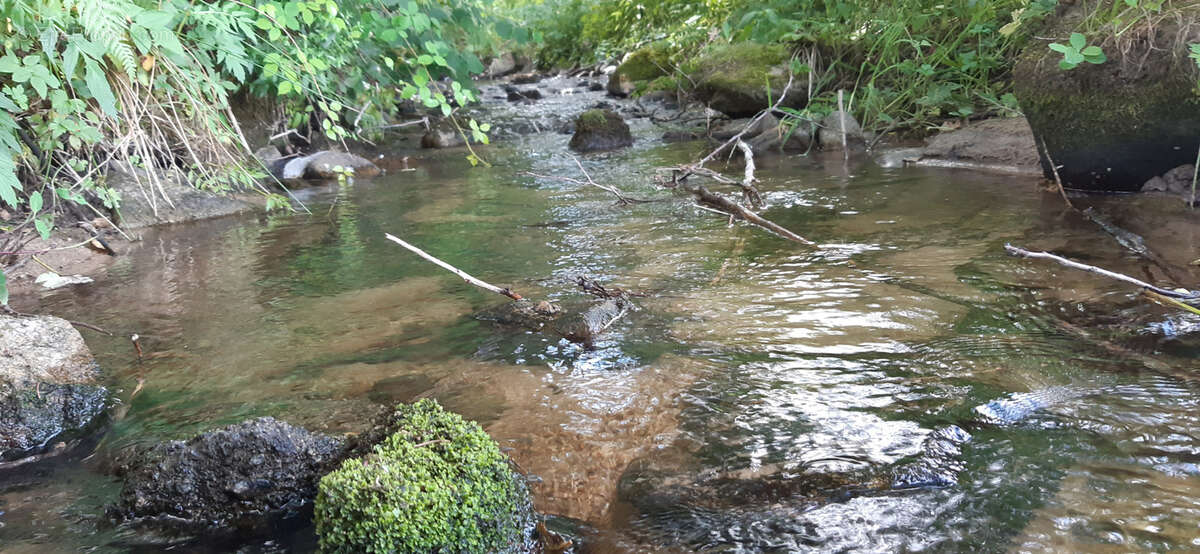 Terrain à GERARDMER