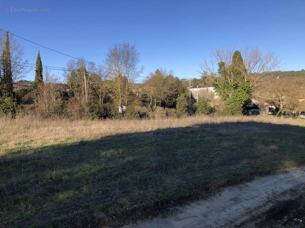 Terrain à MONTOLIEU