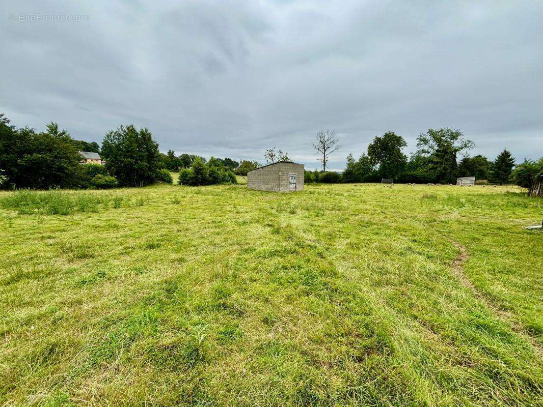 Maison avec dépendances et 6920 m² de terrain - photo 10