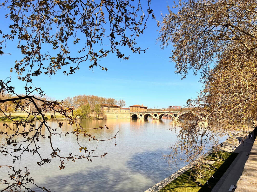 Photo 1 - Appartement à TOULOUSE