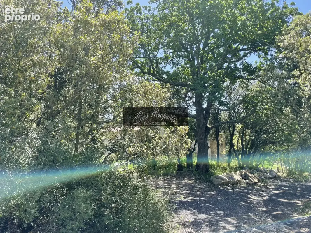 Proche de lagrasse bergerie de 200 m2 sur 10 hectares. - photo 8