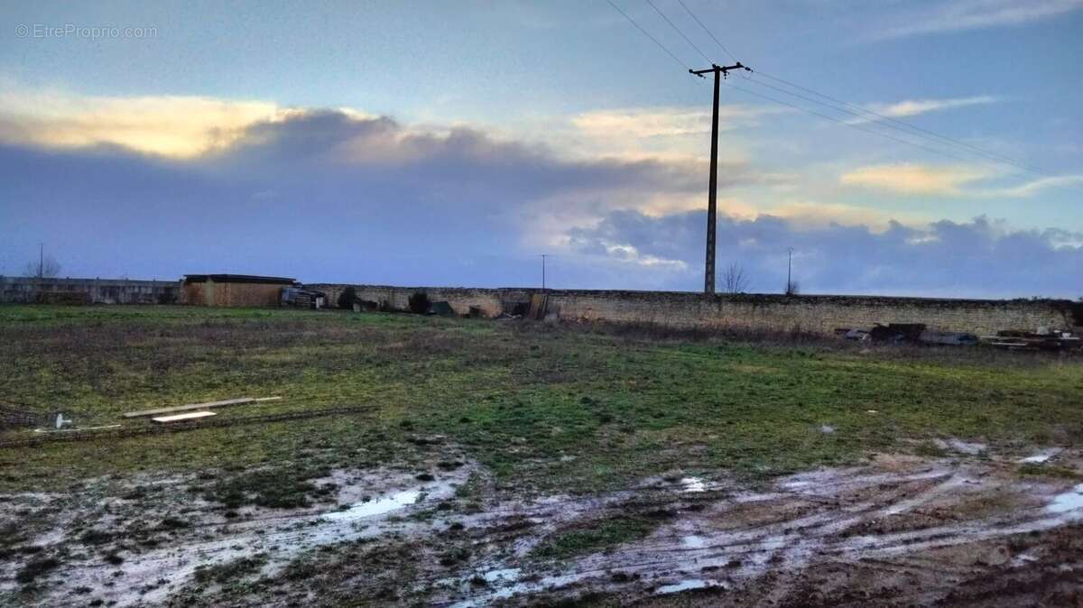 Terrain à NEUVILLE-DE-POITOU