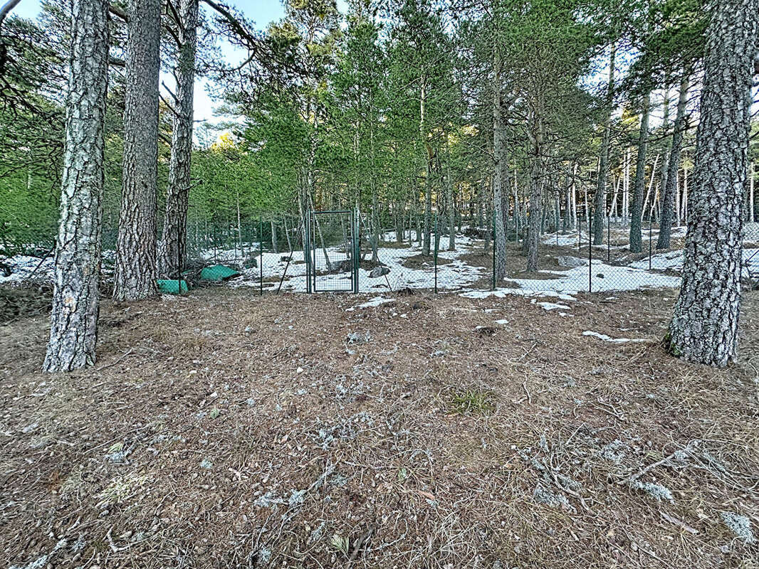 Terrain à CAILLE