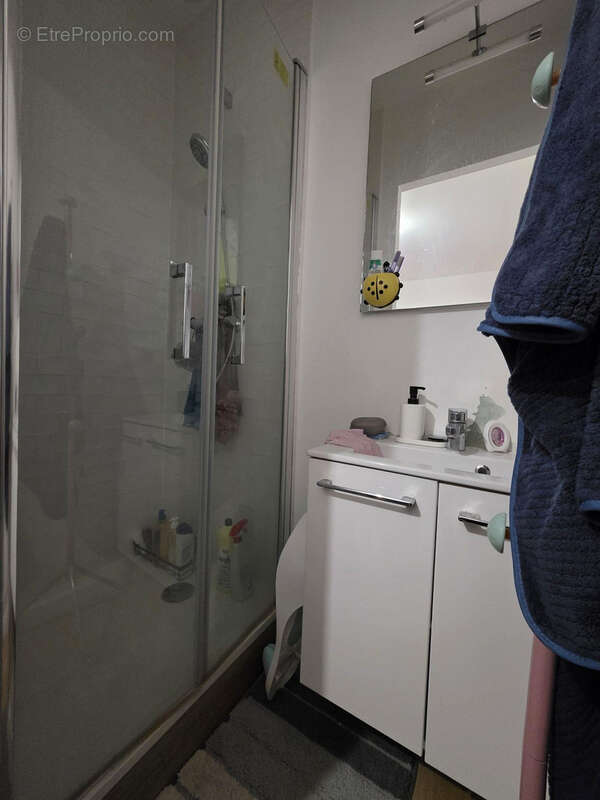 Salle de douche fonctionnelle, bien agencée. - Appartement à REIMS