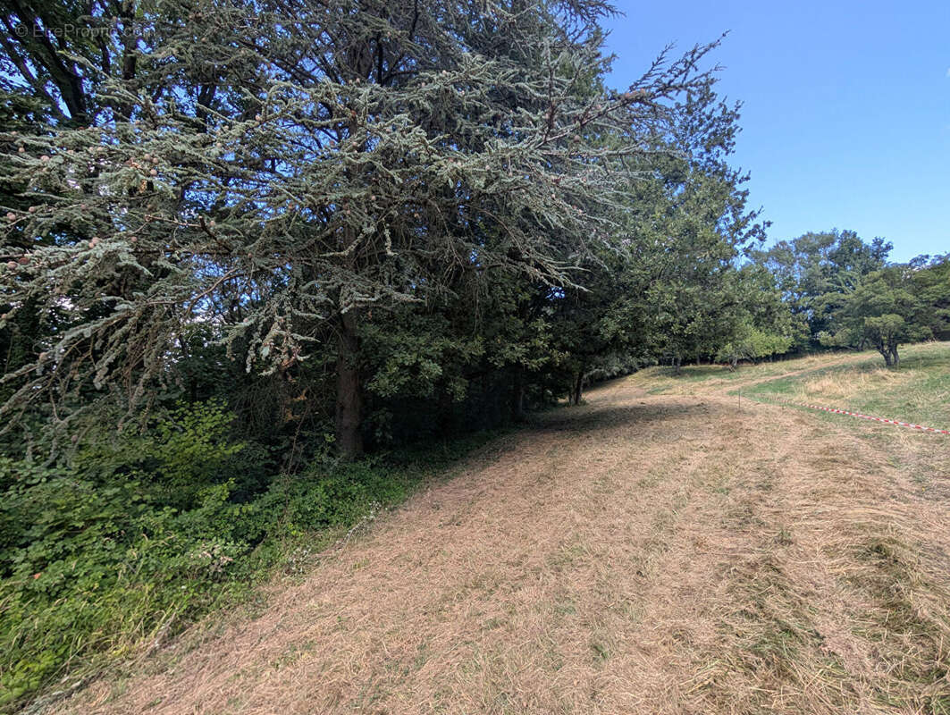 Terrain - Vienne  -16000 m2 - photo 6