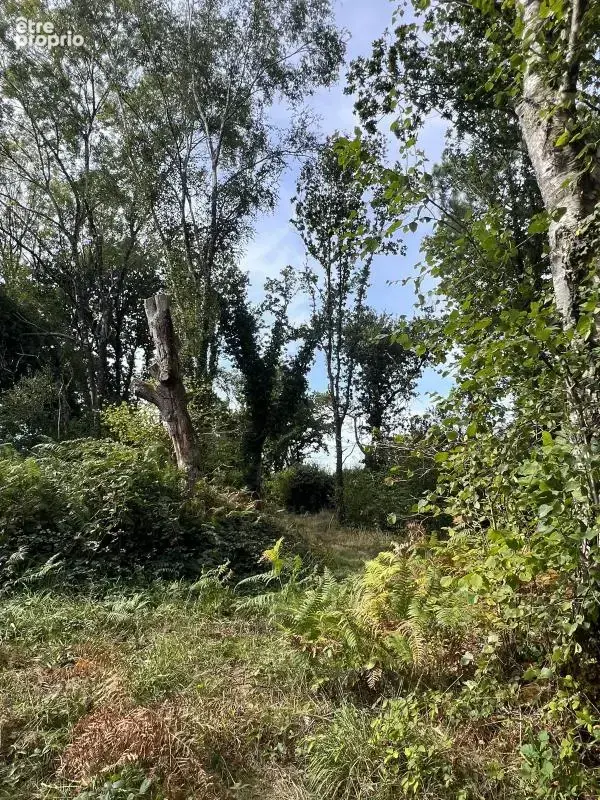 À vendre – argol – finistère – presqu’île de crozon-exceptionnel terrain de loisirs de 40 000 m² - photo 56