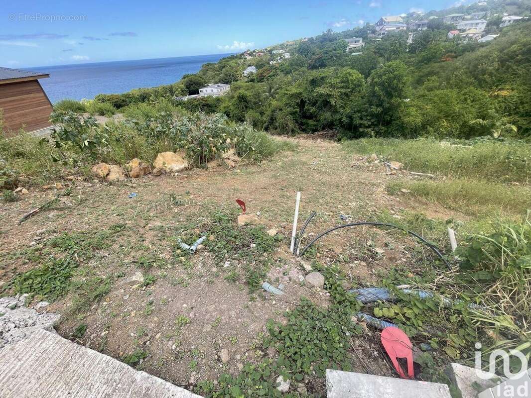 Photo 2 - Terrain à VIEUX-HABITANTS