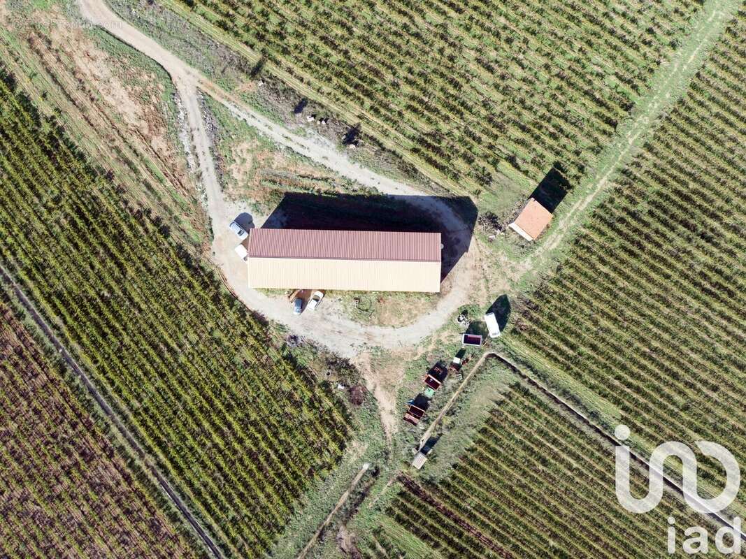 Photo 3 - Terrain à CEYRAS