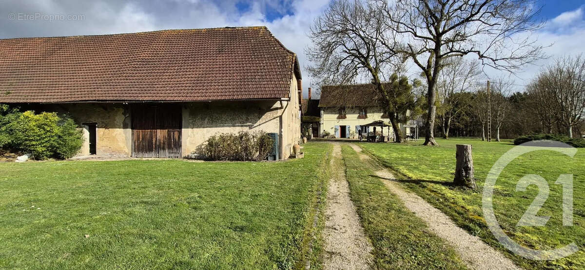 Maison 218 m² à Saint-Usuge  - photo 23