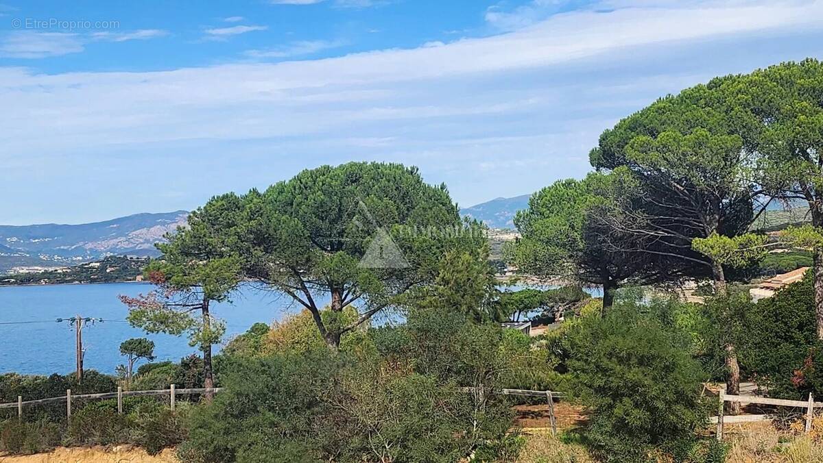 Appartement à PIETROSELLA