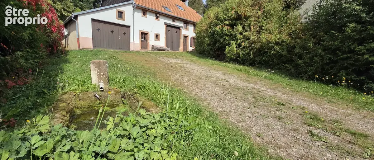 Plaine, ancienne ferme de 242 m2 sur 37 ares de terrain sans vis-à-vis, havre de paix absolu - photo 31