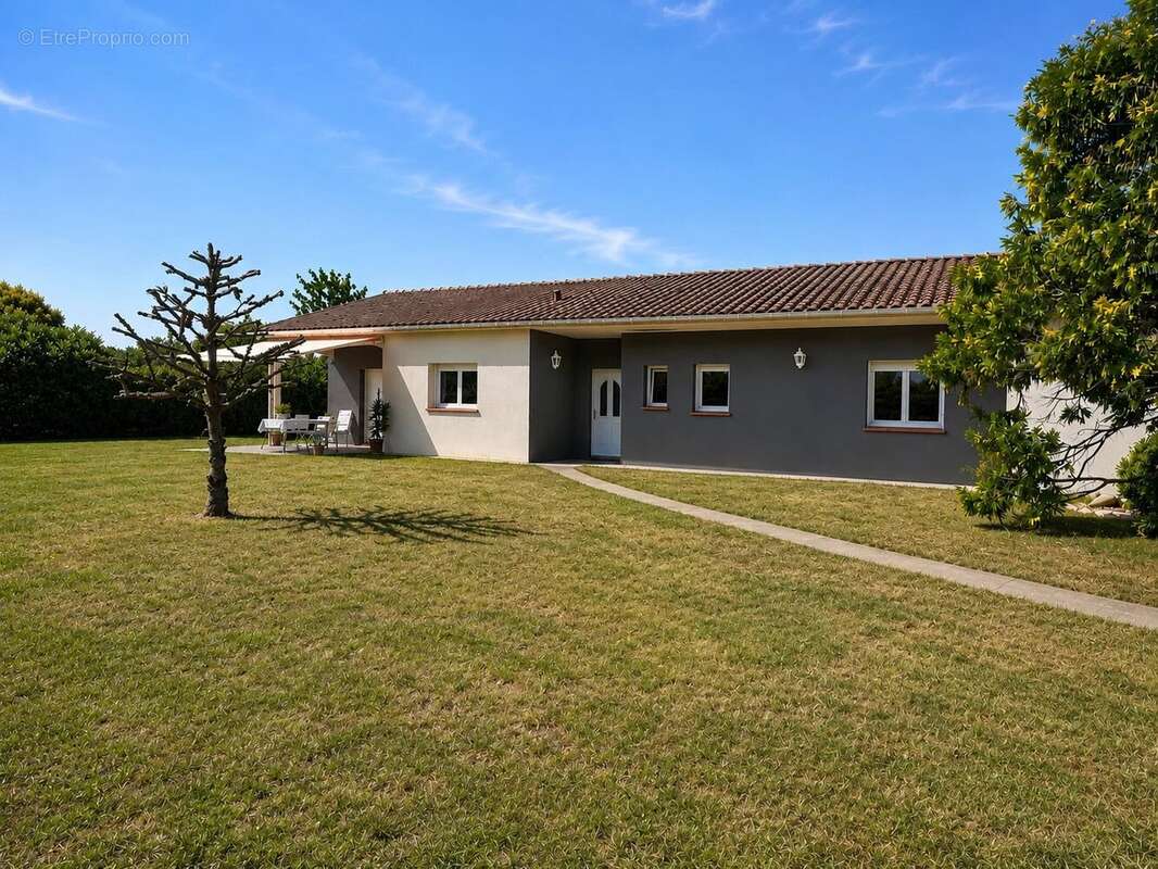 Maison de plain  pied T5 10 m2 sur 2000 m2 de parcelle - photo 4