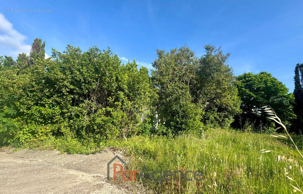 Terrain à VAUX-SUR-MER