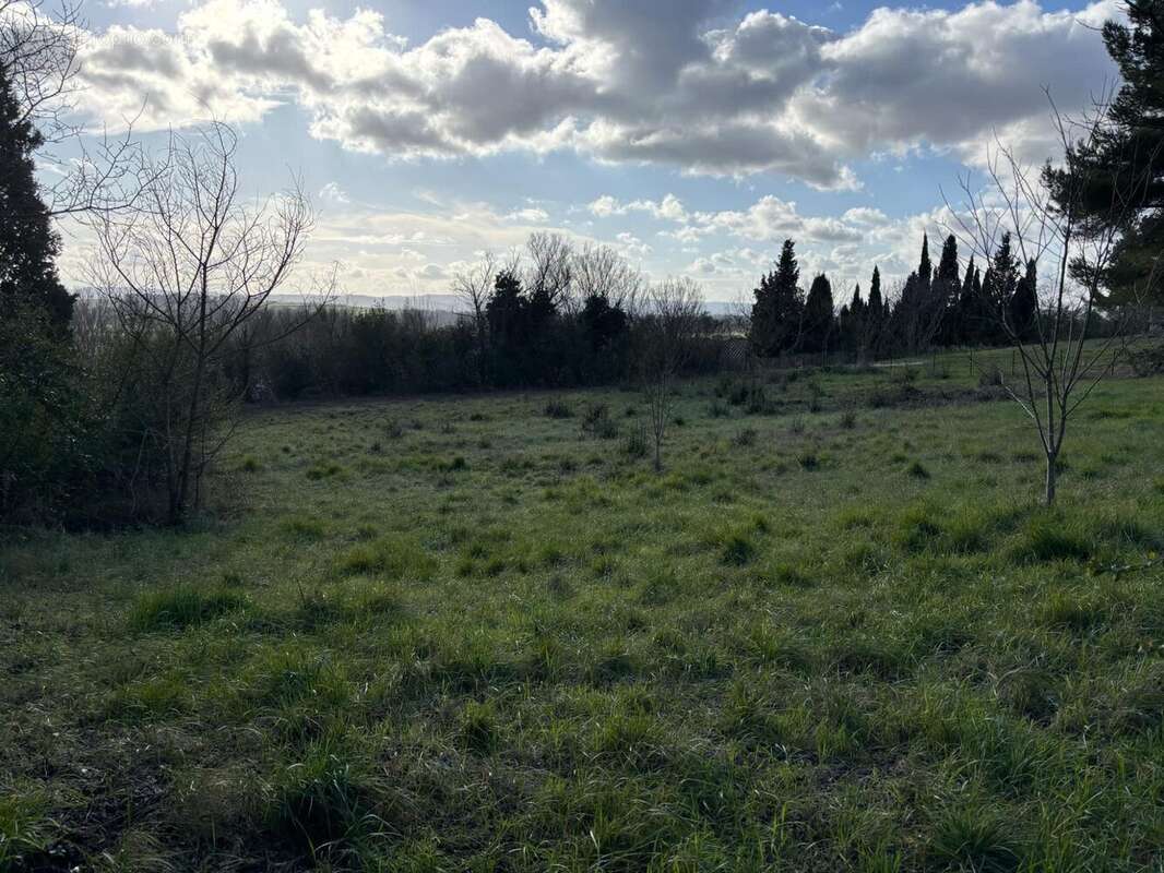 Terrain à VILLEPINTE