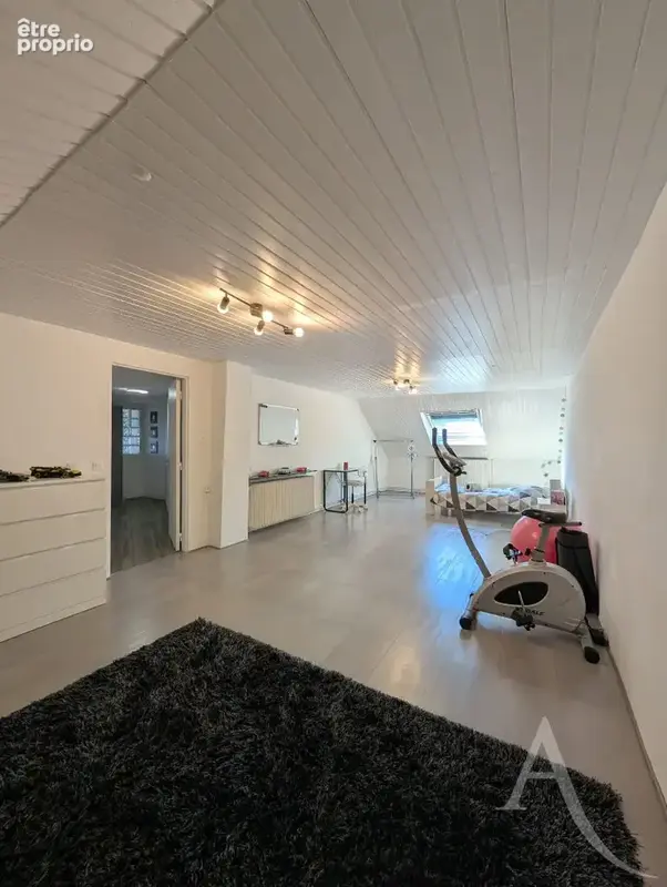 Maison Creutzwald 6 pièce(s) 133 m2 - photo 15