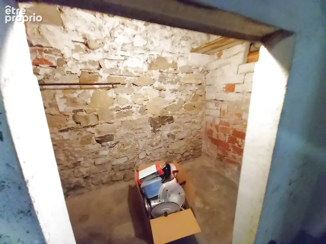 Bel Immeuble 2 Appartements et grand Garage. - photo 55