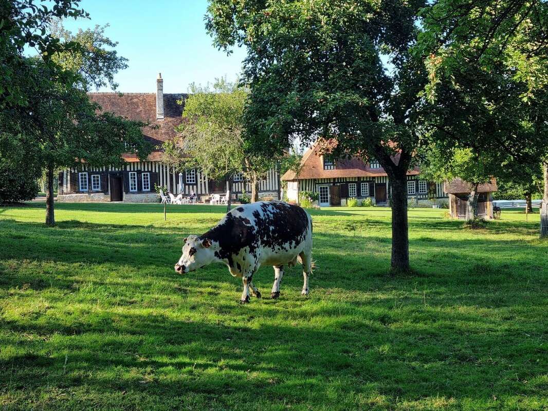 Maison à PONT-L&#039;EVEQUE