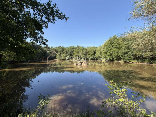 Plan d'eau avec un espace arboré et un chalet - photo 8