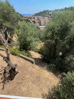 Terrain à MENTON