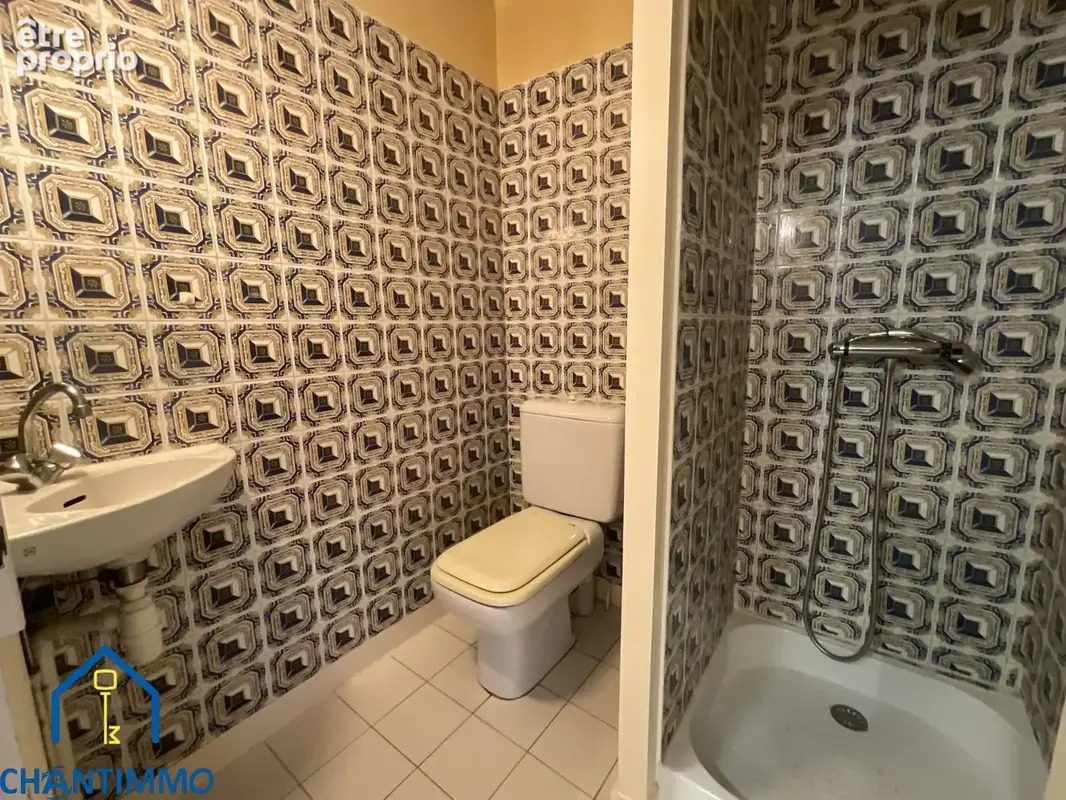 Ensemble immobilier avec local commercial et habitation   215 m2 à STE CECILE - photo 8