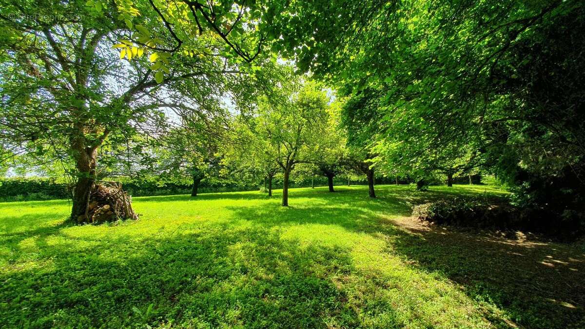 Photo 4 - Maison à PONT-L'EVEQUE