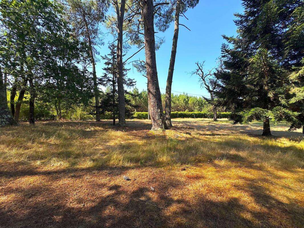Maison à vendre 5 pièces 132m2 avec dépendances Proche de MONT DE MARSAN (40) - photo 18