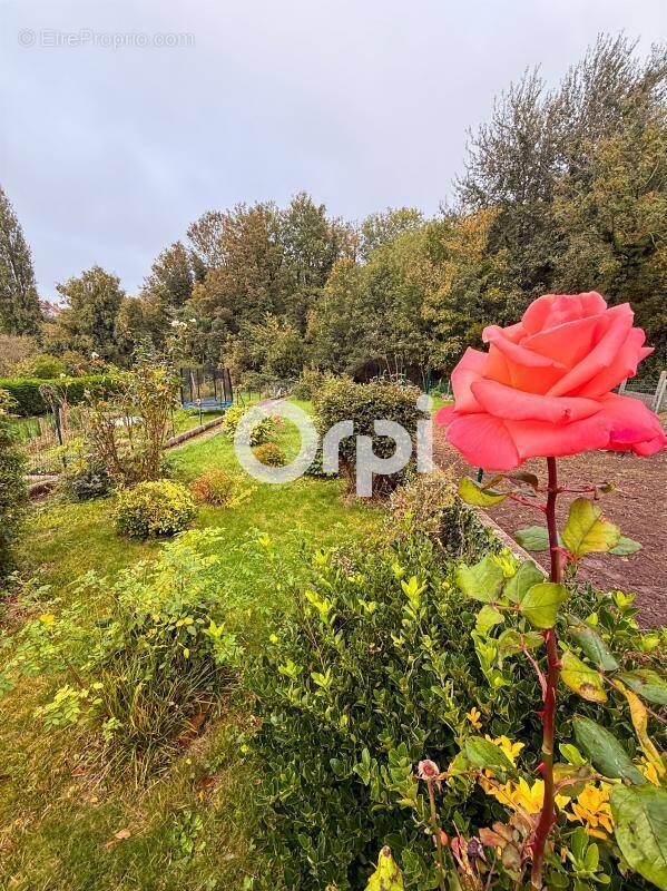 Maison à SAINT-MARTIN-BOULOGNE