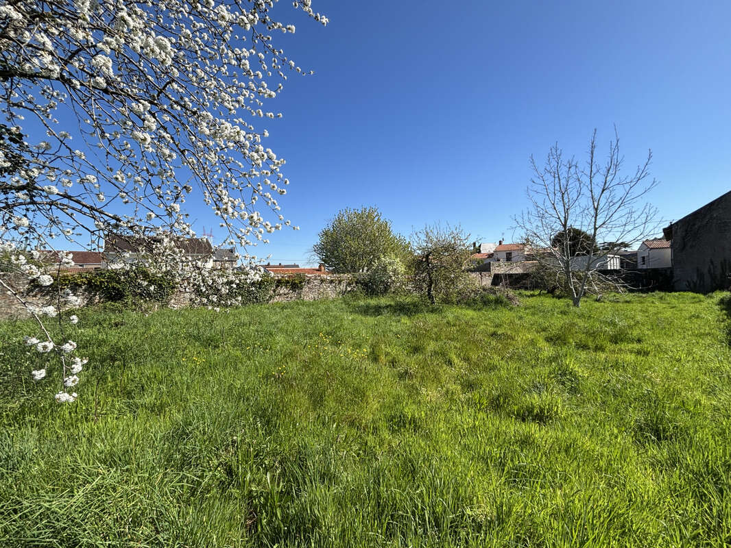 Terrain à LE PELLERIN