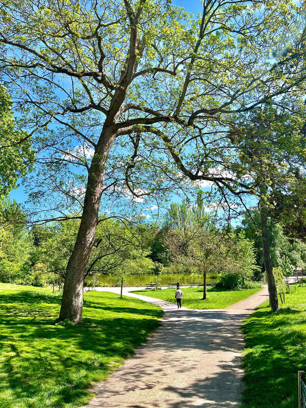 Appartement à SAINT-MANDE