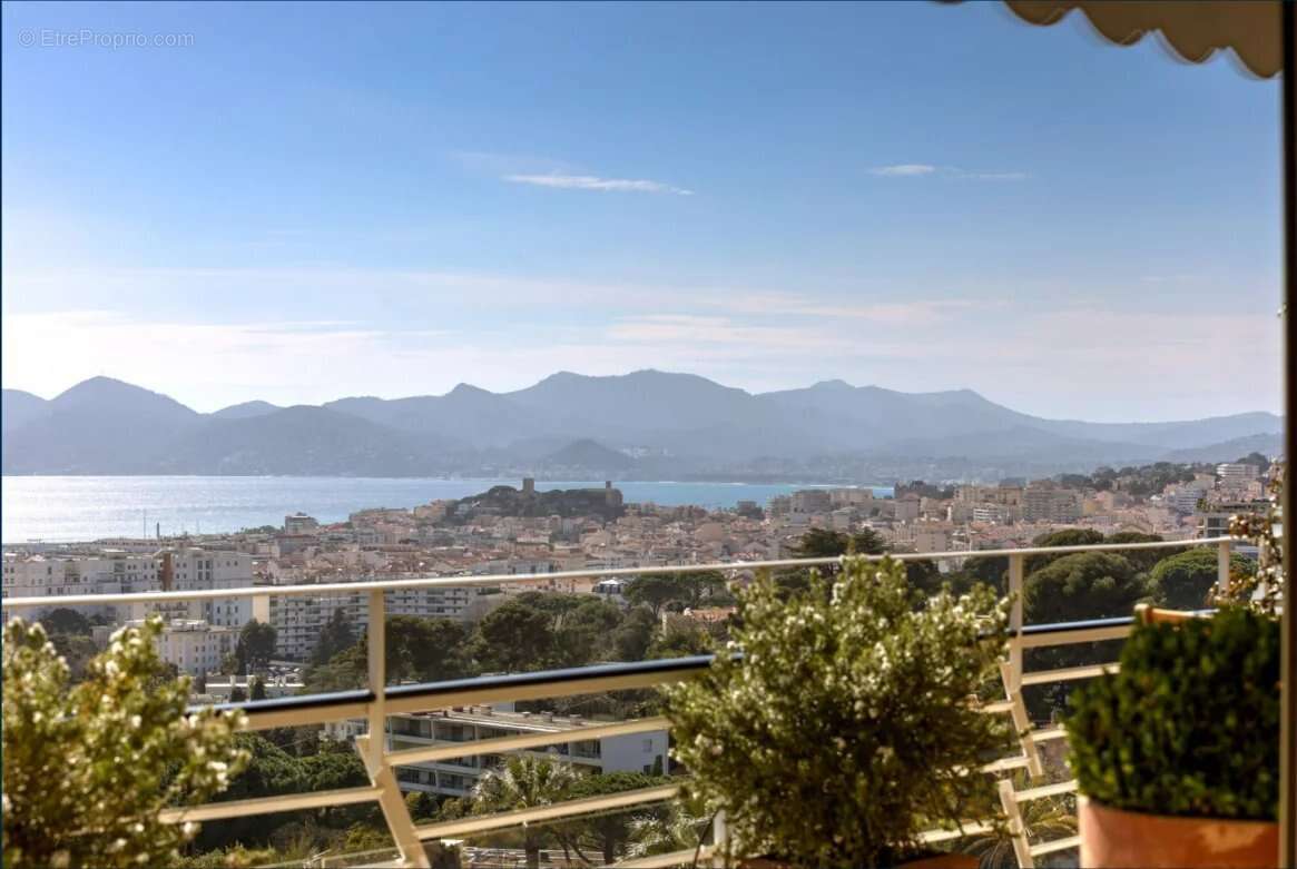 Cannes Basse californie – 3 pièces rénové avec vue mer - photo 13
