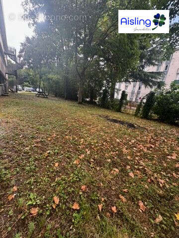 Commerce 200 m² à Joue-Les-Tours  - photo 2