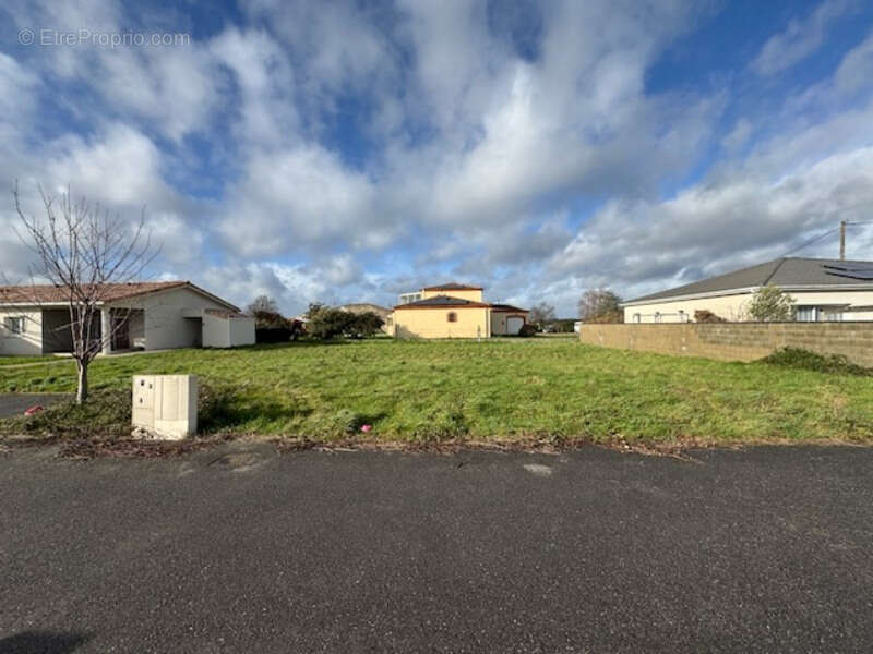 Terrain à CORNEBARRIEU