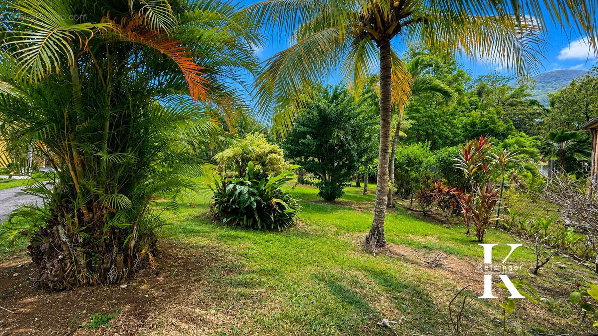 Jardin 