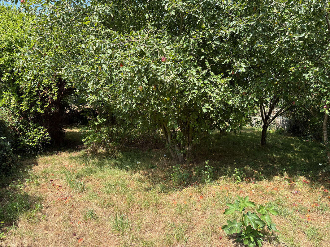 A vendre La Chapelle Neuve, maison 154m², 3 chambres, terrain d'environ 170m² - photo 13
