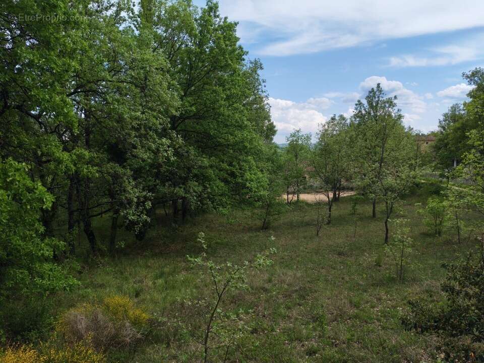 Terrain à QUINSON