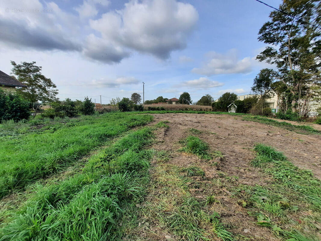 Terrain à CRAS-SUR-REYSSOUZE