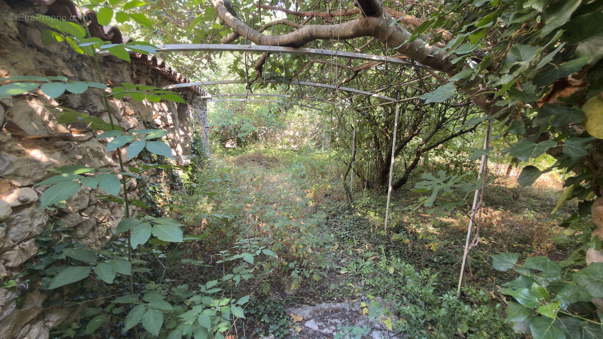 Exclusivité - Demeure d’exception du XVe siècle au cœur de la Provence - Saint Trinit (Vaucluse) - photo 15