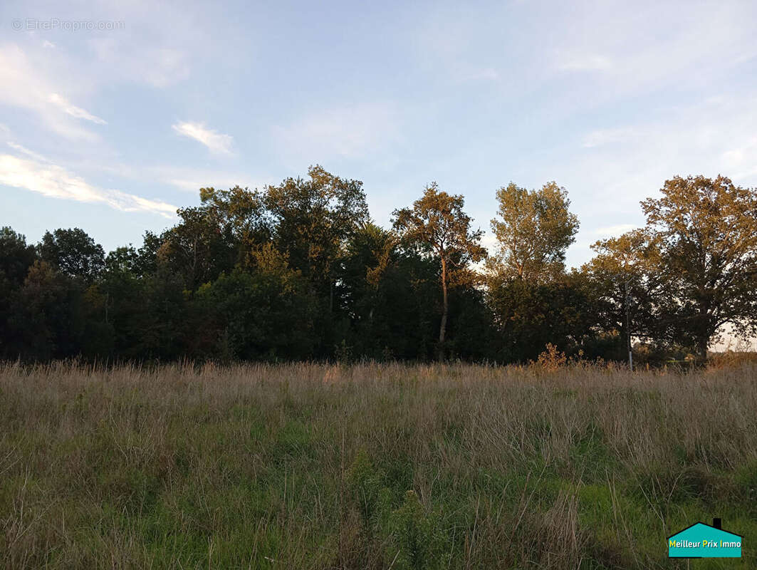 Terrain à SAINT-JEAN-DE-MONTS