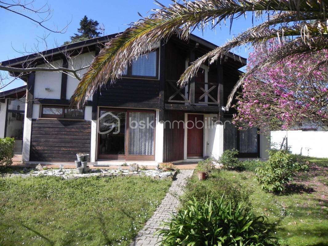 Maison à SAINT-VINCENT-DE-TYROSSE