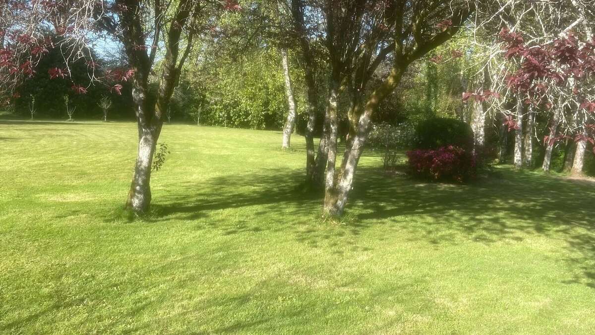 Priziac Vente Maison 6 pièce(s) - photo 6