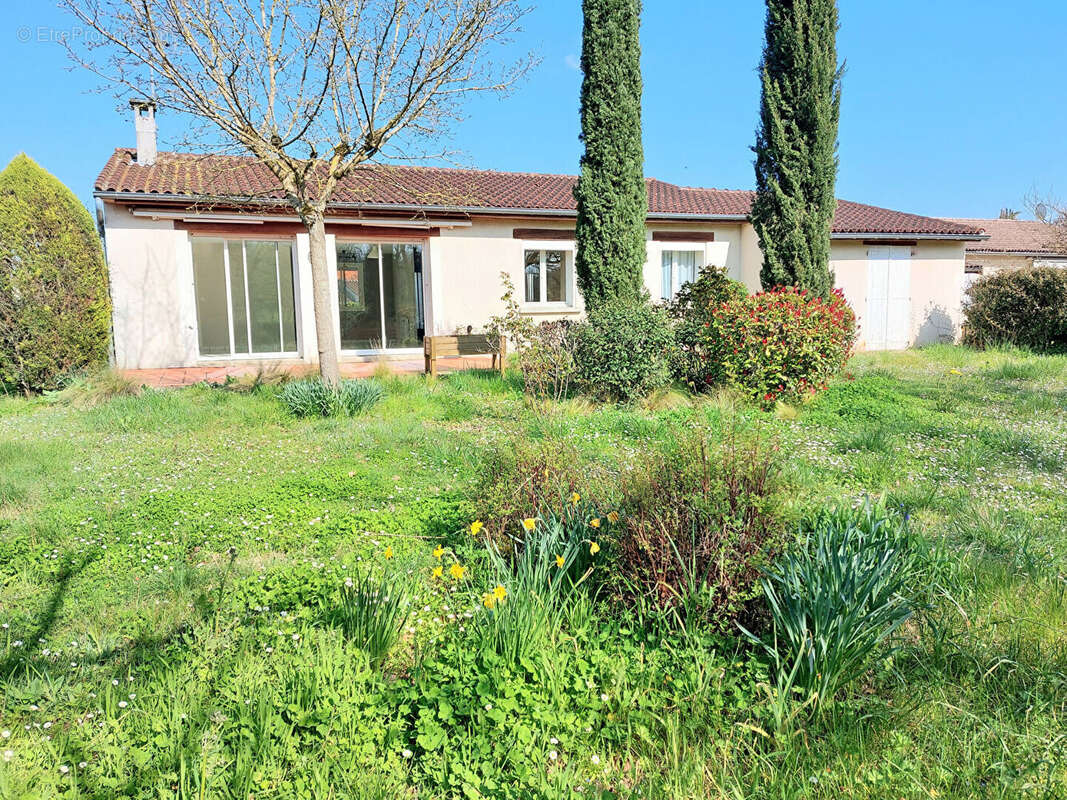 Proche Albi Puygouzon - Maison PLAIN PIED 100m²  + 36m² de garage fermé  terrain 635m² - photo 2