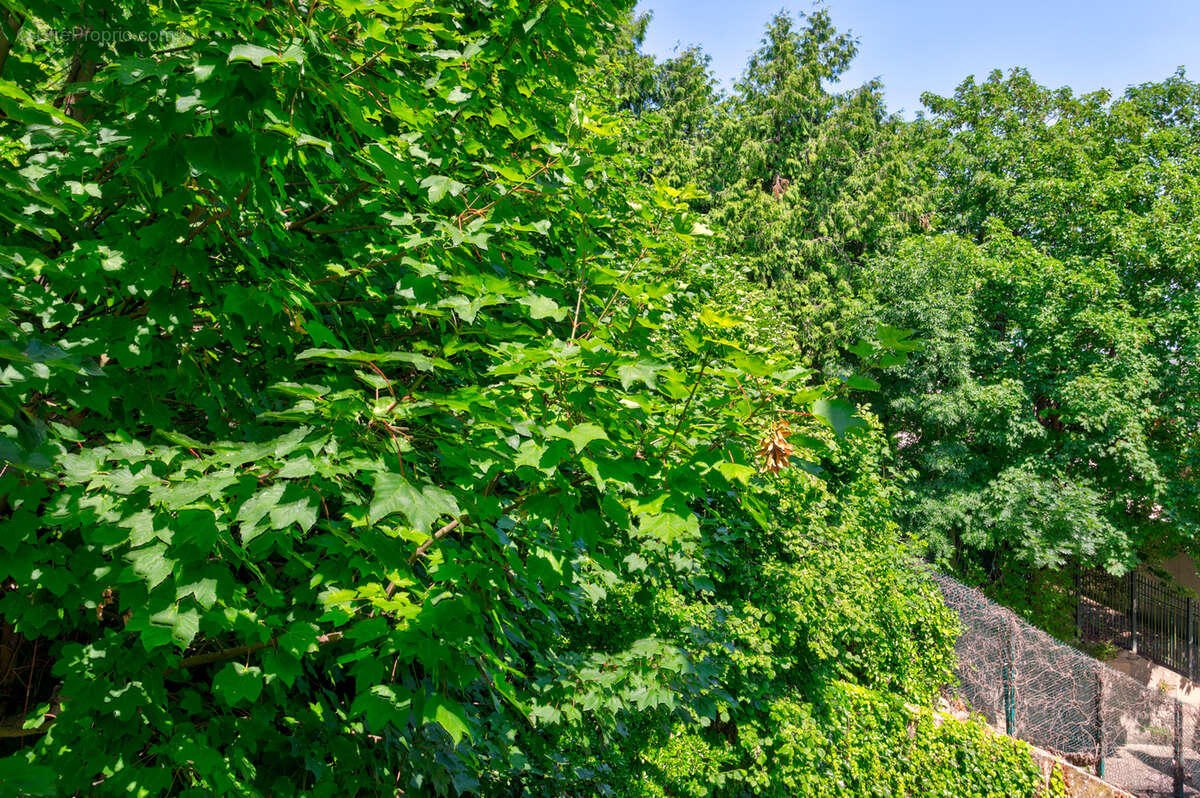 Appartement à SEVRES